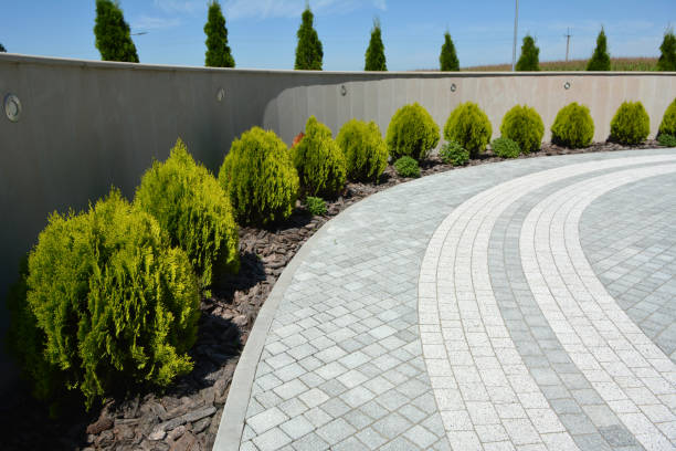 Best Residential Driveway Paver Services  in Lonoke, AR